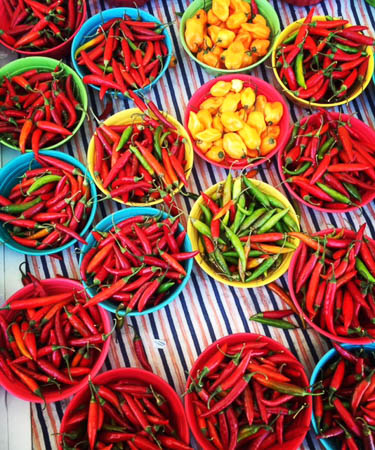 Picante by Nancy Aide Gonzalez